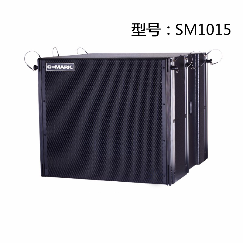 SM5534 + SM1015 舞台用专业扬声器